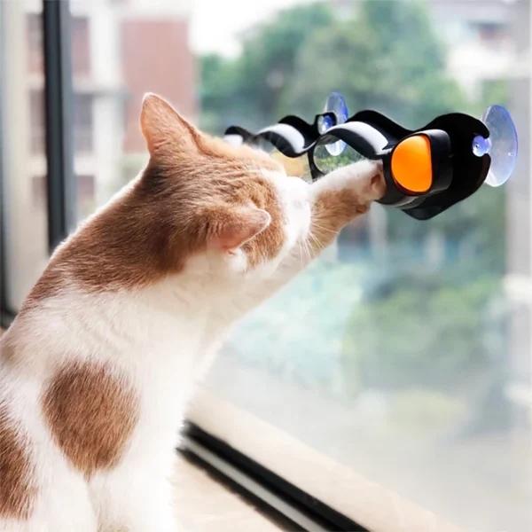 Pet Cat Funny Ball Toy Sucker Windows Cat Interactive Toys Play Pipe with Balls Cat Toy Track Play Tunnel Pet Cats Toys Products - Image 2