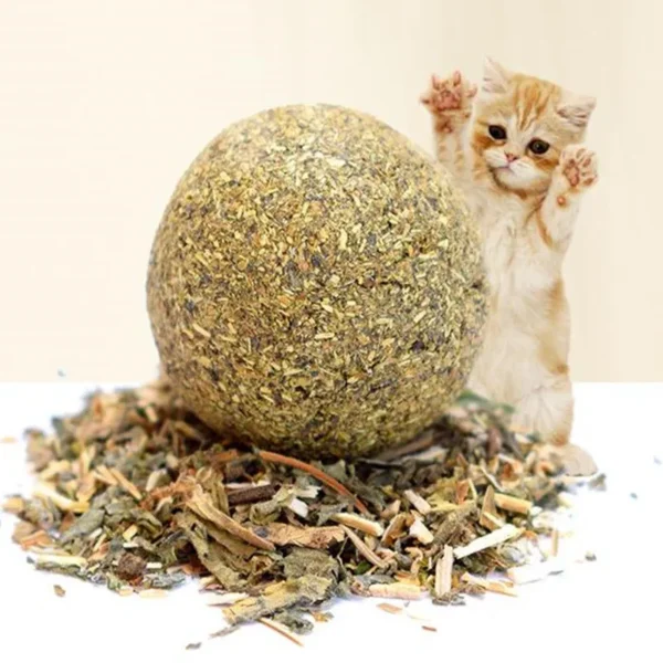 1PC Cat Toy Natural Catnip Treat Ball Favor Home Chasing Toy Healthy Safe Edible Treating Cats Playing Cleaning Teeth Toy - Image 2