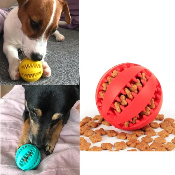 Pet Dog Toy Interactive Rubber Balls Pet Dog Cat Puppy Chew Toys Ball Teeth Chew Toys Tooth Cleaning Balls Food - Image 3