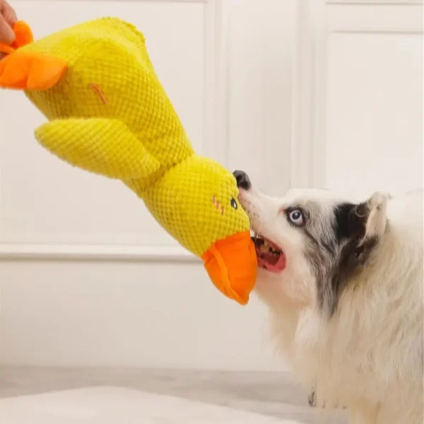 Interactive Quacking Duck Toy for Dog with Real Quack Sound,Stuffed Duck Toy - Image 3