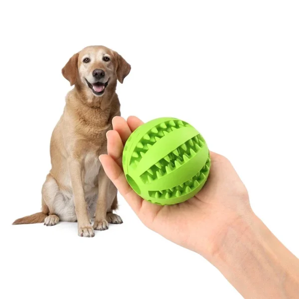 Pet Dog Toy Interactive Rubber Balls Pet Dog Cat Puppy Chew Toys Ball Teeth Chew Toys Tooth Cleaning Balls Food - Image 4